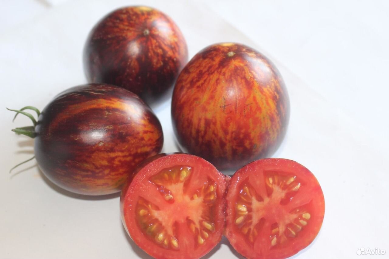 Гаргамель томат семена