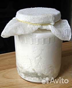Кефирный (Тибетский; молочный) гриб купить на Зозу.ру - фотография № 4