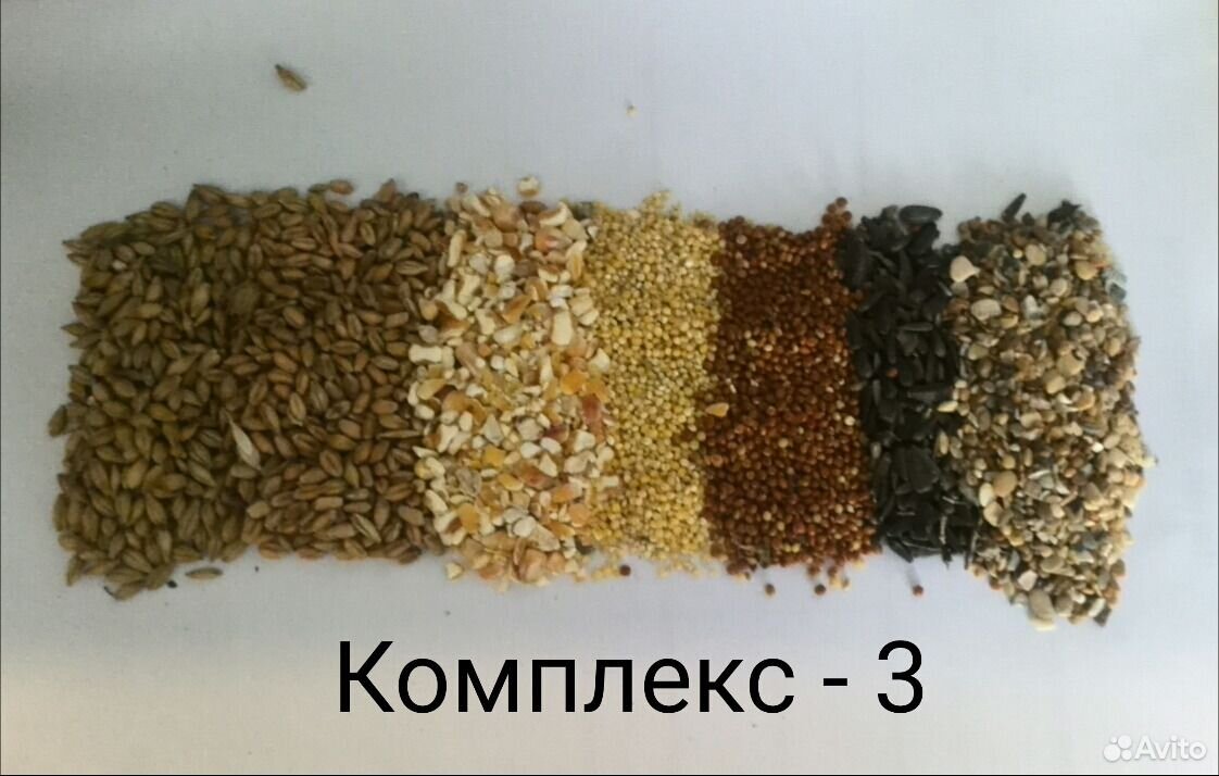 Зерно-смеси купить на Зозу.ру - фотография № 3