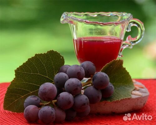 Сок из винограда купить на Зозу.ру - фотография № 1