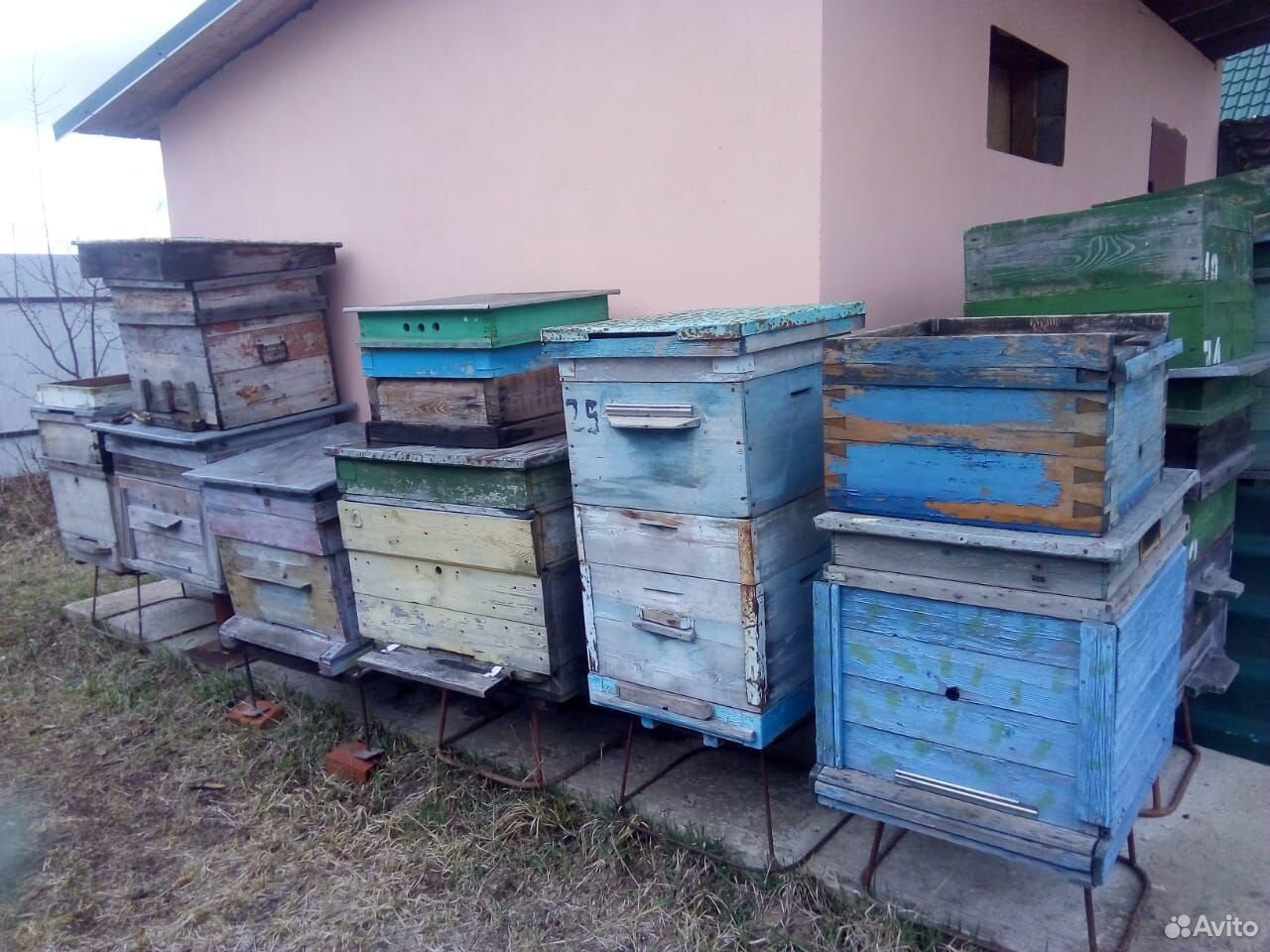 Ульи для пчел купить на Зозу.ру - фотография № 4