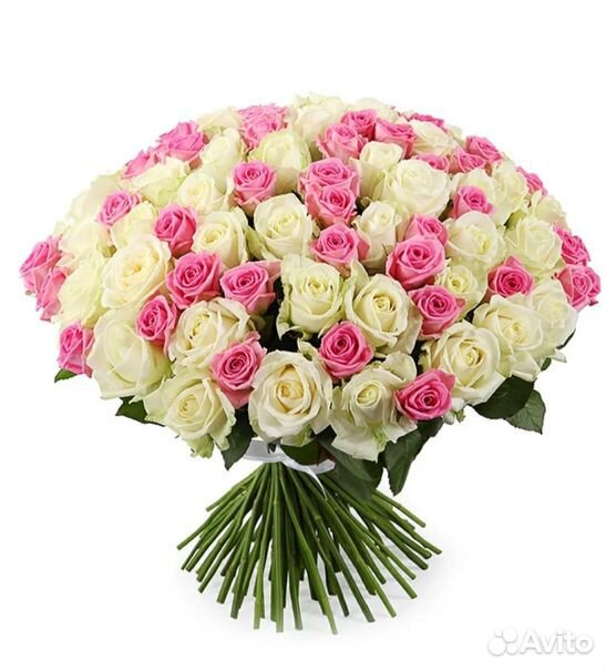 85 роз белых+розовых купить на Зозу.ру - фотография № 1