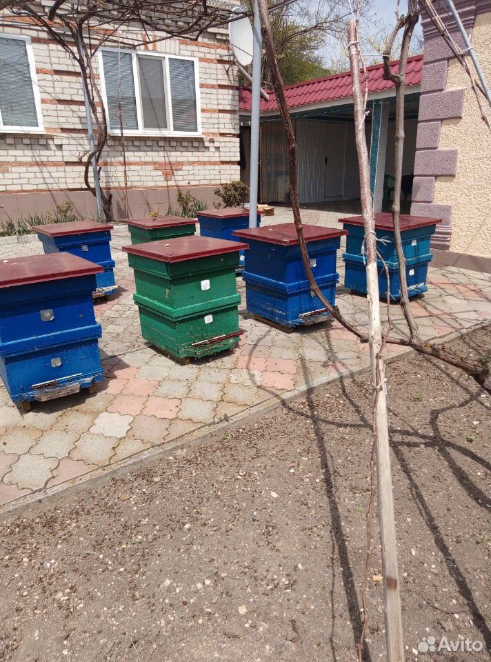 Ульи для пчёл рут купить на Зозу.ру - фотография № 1