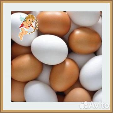 Куриное яйцо от элитных кур для детей и взрослых купить на Зозу.ру - фотография № 1