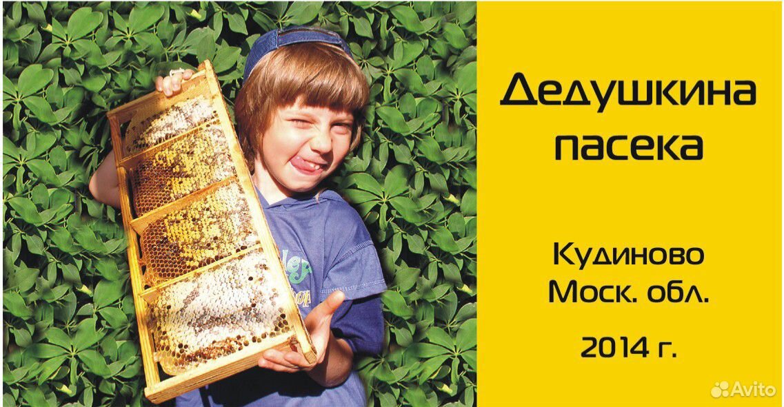 Ульи с пчелами в Кудиново купить на Зозу.ру - фотография № 1