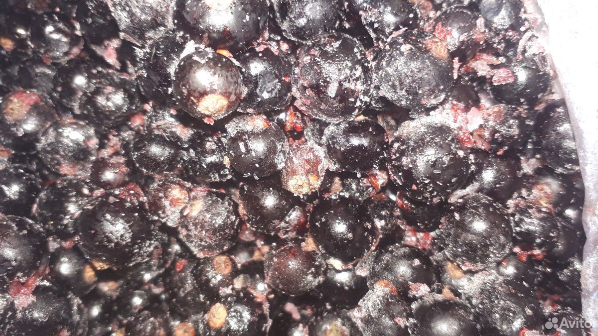 Замороженные ягоды купить на Зозу.ру - фотография № 1