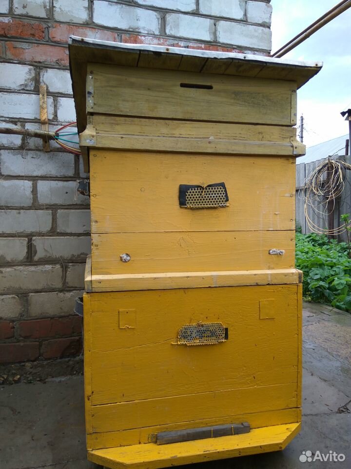 Ульи Сушь для пчёл купить на Зозу.ру - фотография № 2