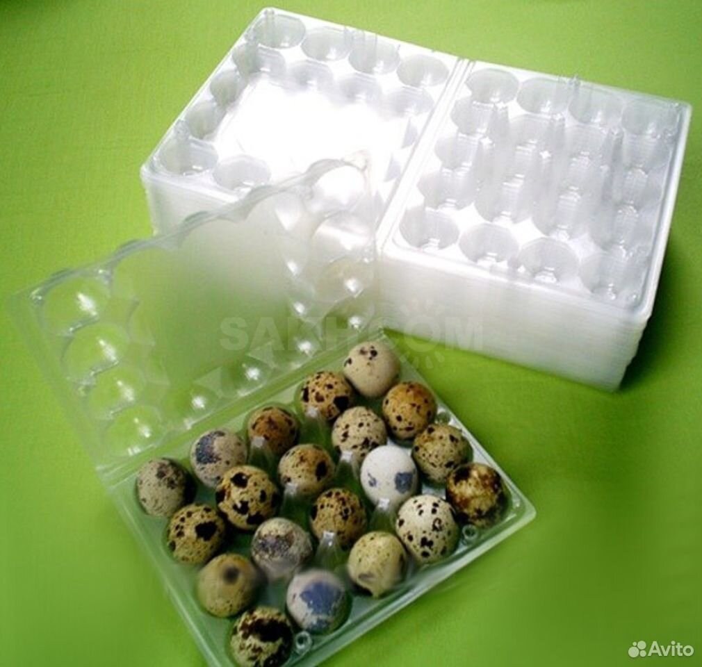Упаковка для перепелиных яиц. Яйцо перепелиное упаковка 20 шт. Коробка для перепелиных яиц 20 шт размер. Лотки для перепелиных яиц на 20 штук. Пластиковая упаковка для перепелиных яиц.