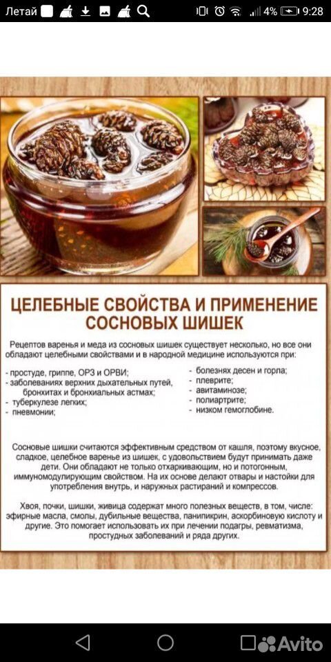 Варенье из сосновых шишек купить на Зозу.ру - фотография № 3