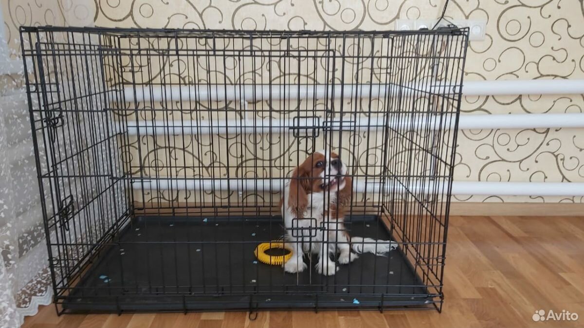 Клетка для собак - Вольер купить на Зозу.ру - фотография № 3
