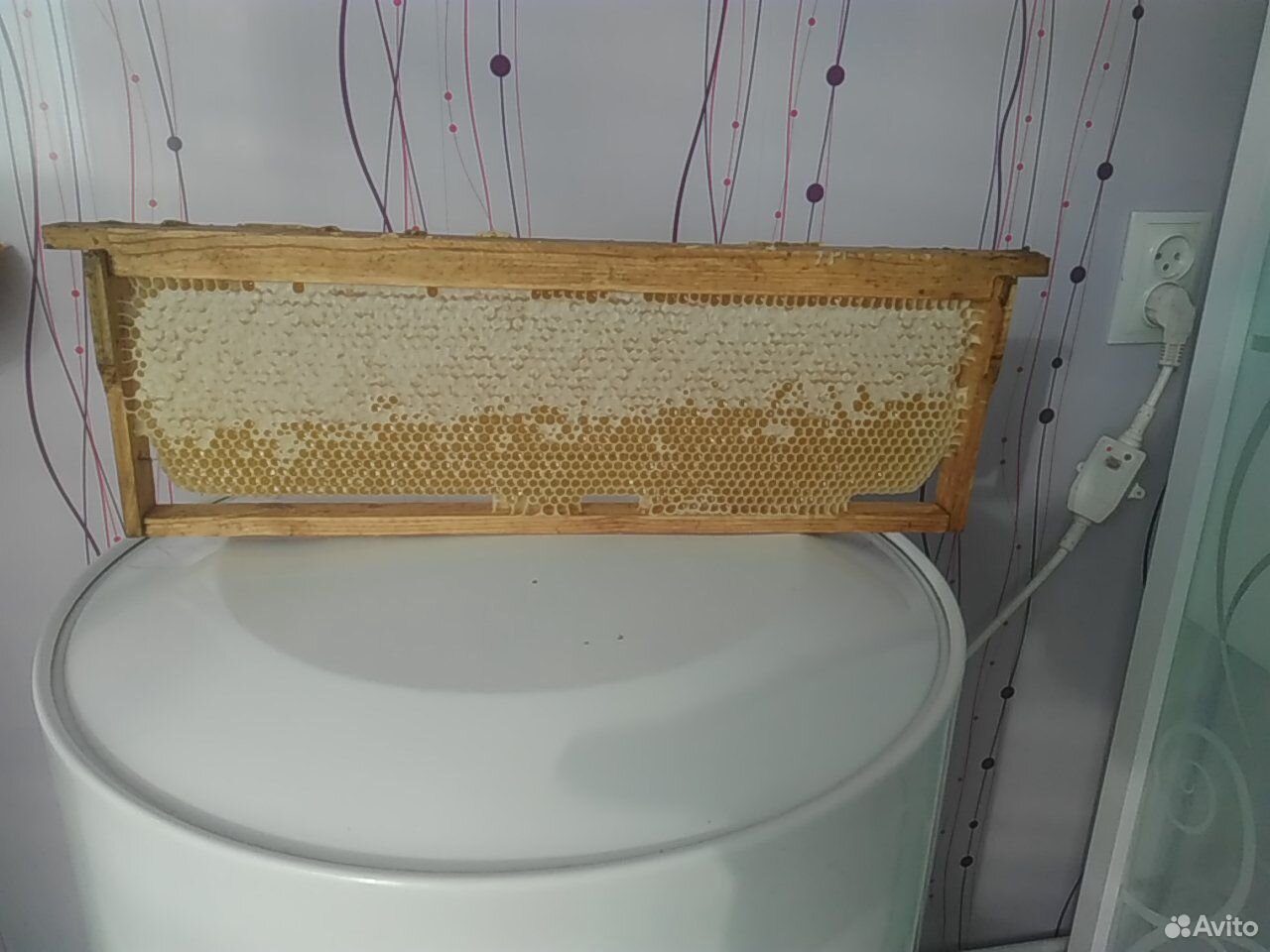 Свежий мёд купить на Зозу.ру - фотография № 3