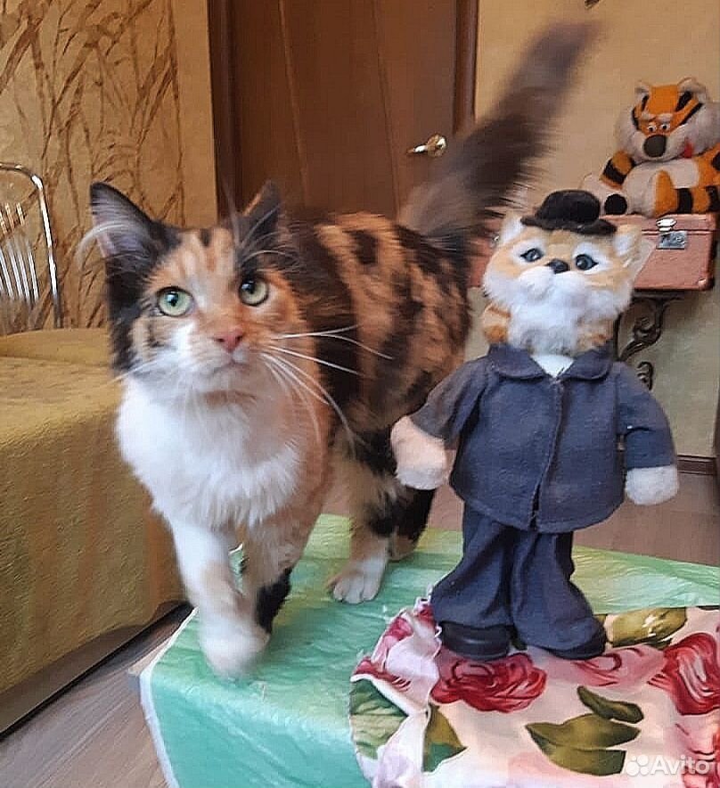 Кошка Алиса купить на Зозу.ру - фотография № 3