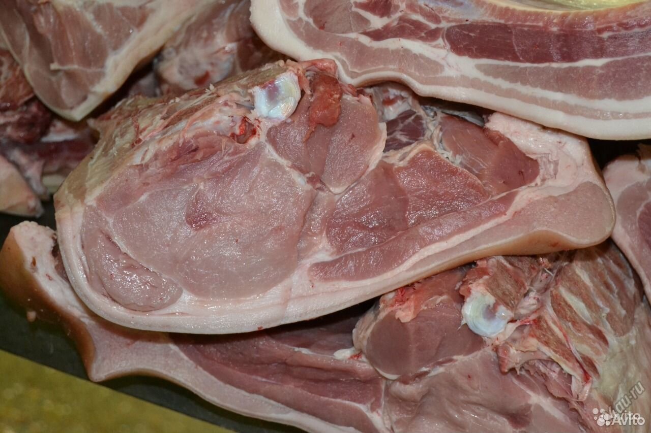 Продам мясо свинины купить на Зозу.ру - фотография № 1
