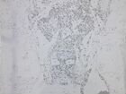 Картина по номерам «Доберман» объявление продам