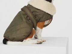 Куртка для собачки. H&M