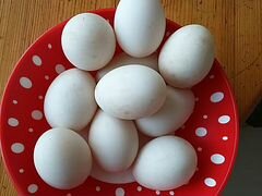 Яйца индоутки для инкубации