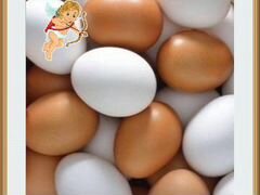 Куриное яйцо от элитных кур для детей и взрослых