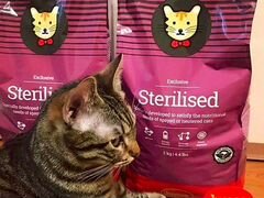 Корм для стерилизованных кошек Husse Sterilised