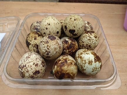Яйца перепелиные, столовые, и инкубационные