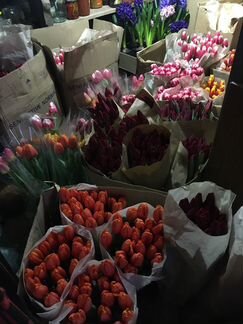 Тюльпаны с доставкой