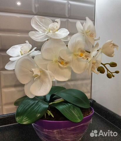 Gubahan orkid 4 tangkai