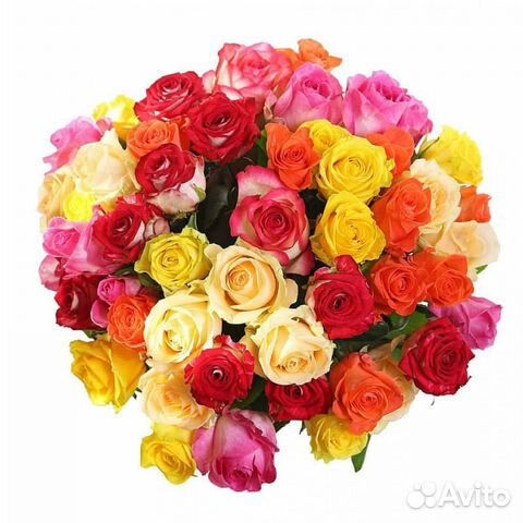 Роза Микс 80 см