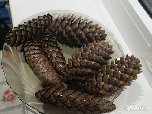 Шишки для рукоделия