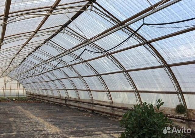 Пленка для теплиц Светлица 150мкм, 80 метров