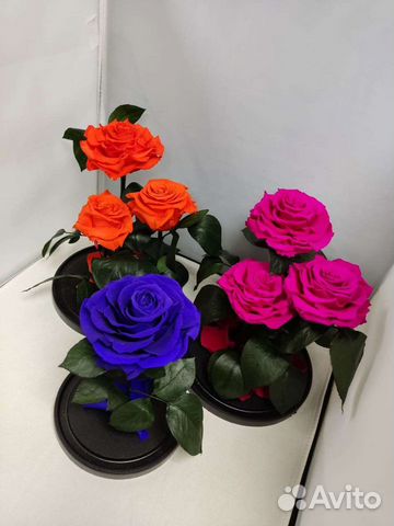 Роза в колбе оптом и в розницу