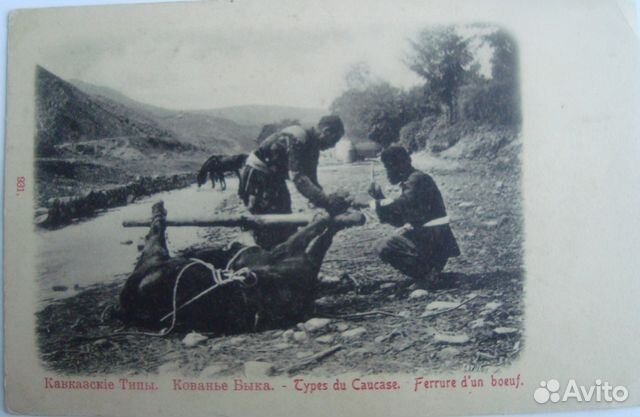 Три старые открытки на тему кавказъ