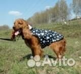 Одежда для животных, лежаки, сумки Одежда для животных, лежаки, сумки