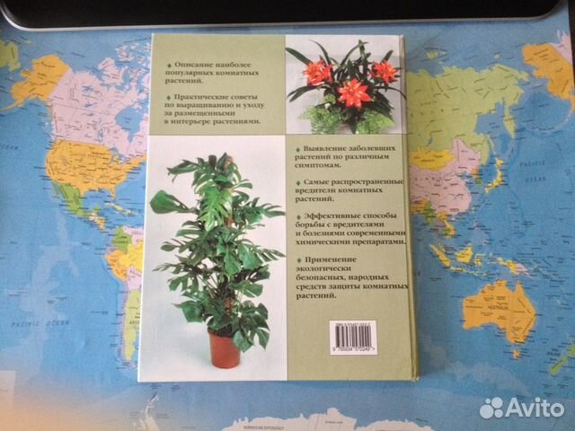 Книга Книга