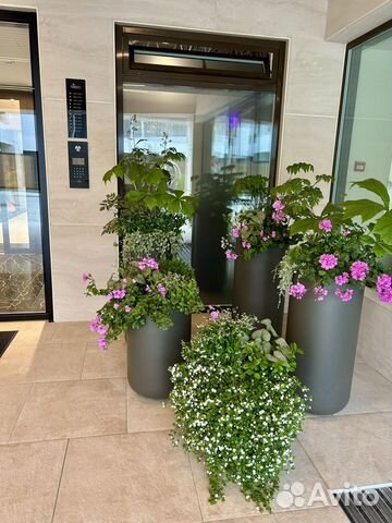 

Квартира-студия, 22 м², 1 кровать