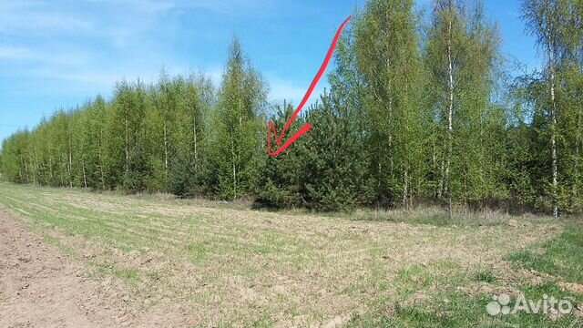 Участок 30.5 сот. (ИЖС)