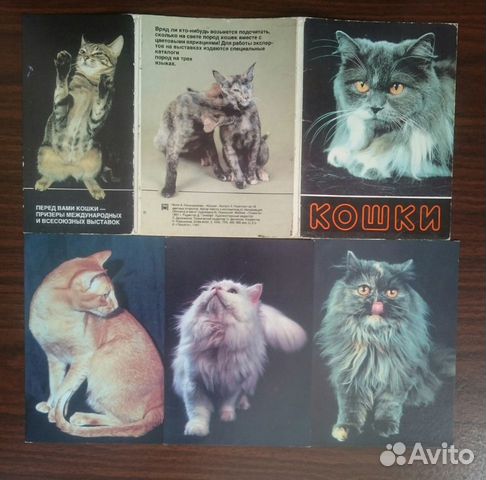 Набор открыток Кошки, 1991 г Набор открыток Кошки, 1991 г