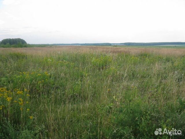 Участок 12 сот. (ИЖС) Участок 12 сот. (ИЖС)