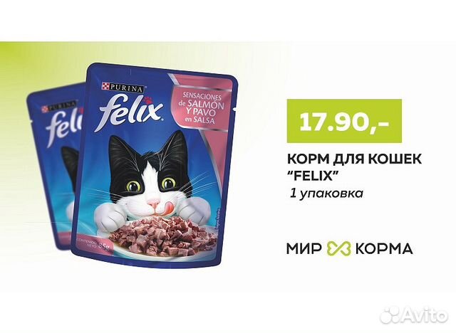 Купить корм калининград. Корм для кошек Калининград интернет магазин. Мир корма Калининград.