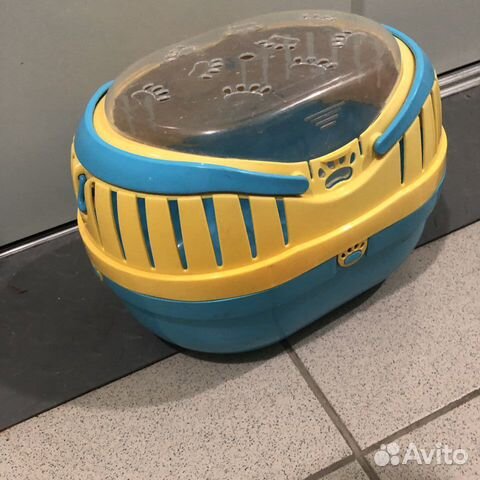 Товары для морской свинки