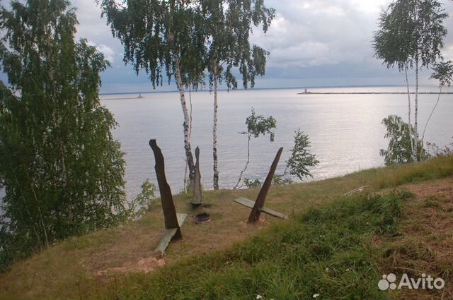 Дом 62 м² на участке 50 сот. Дом 62 м² на участке 50 сот.