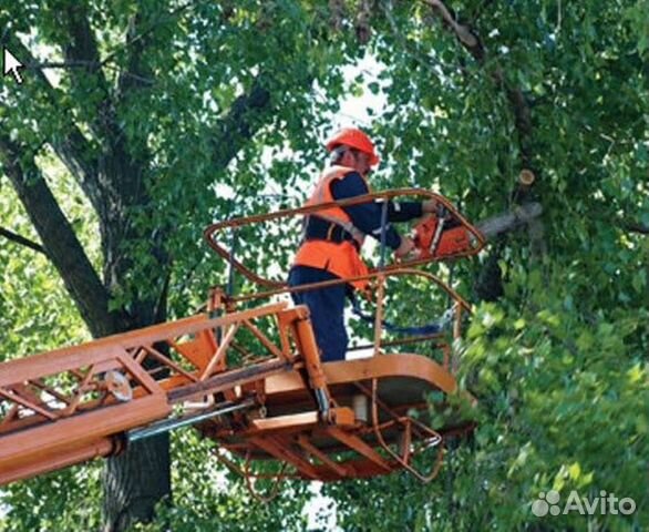 Спил деревьев. Аренда автовышки.Расчистка участков