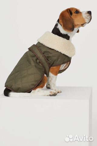 Куртка для собачки. H&M купить на Зозу.ру - фотография № 1