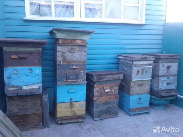 Улья для пчел, магазинные корпуса купить на Зозу.ру - фотография № 1