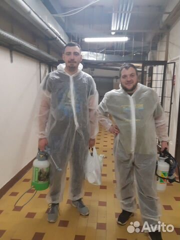 Уничтожение тараканов и клопов Уничтожение тараканов и клопов