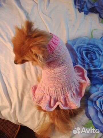 Платье для собаки купить на Зозу.ру - фотография № 3