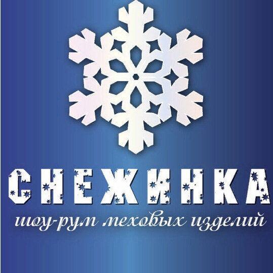 Организация Снежинка.