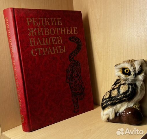 Баккал С.Н., Бардин А.В., Даревский И.С., и др Ред