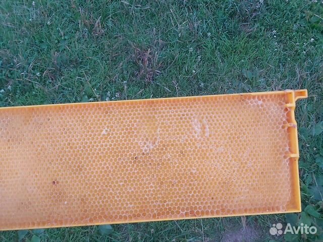 Рамки для пчел