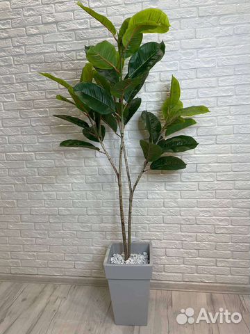 Искусственный фикус крупнолистовой
