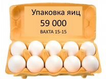 Москва Вахта Упаковщик / ца яиц на производстве