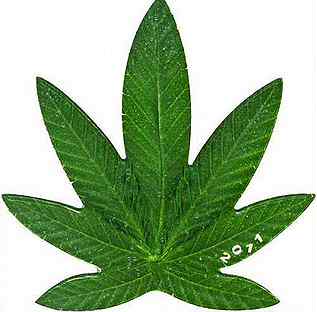 Купить листья конопли в москве купить марихуану в орле